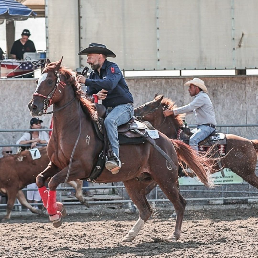 Equitazione e team penning: Maik Horses ASD unisce sport e natura Immagine